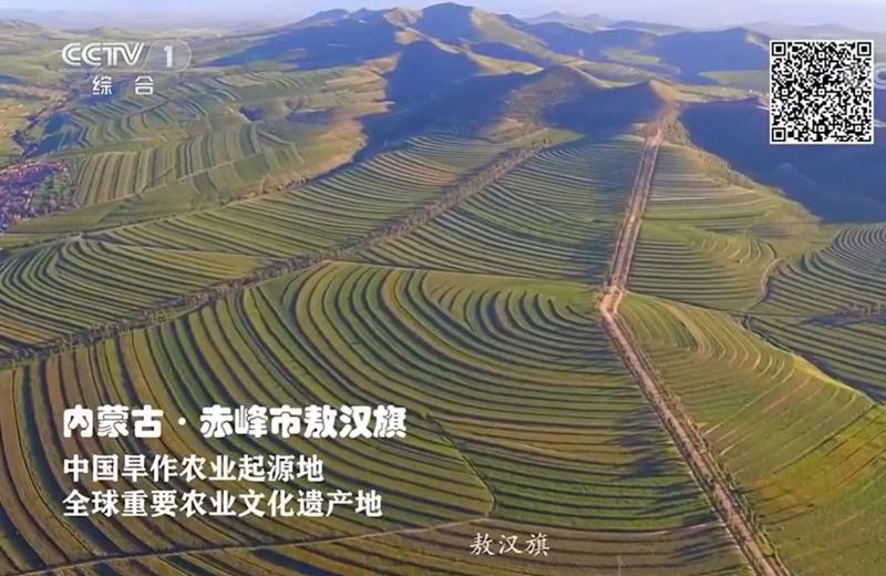 中央台国家地理标志保护产品广告--敖汉小米