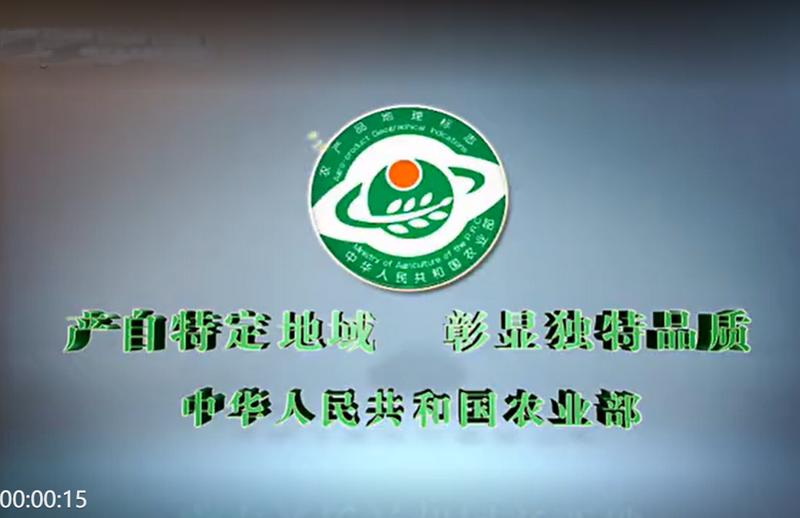 农产品地理标志宣传片