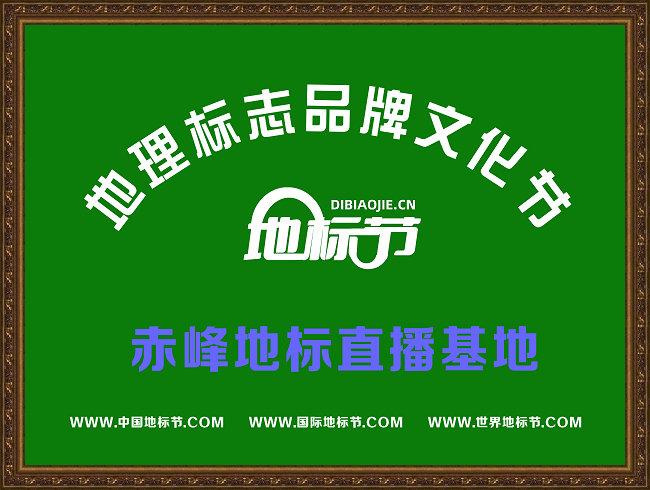 赤峰地标直播基地