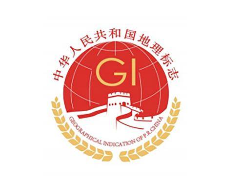 地标赋能:中国好品牌的出海新动力