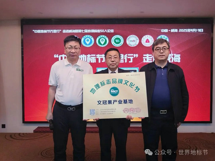 1745284695865417.jpg 05.jpg